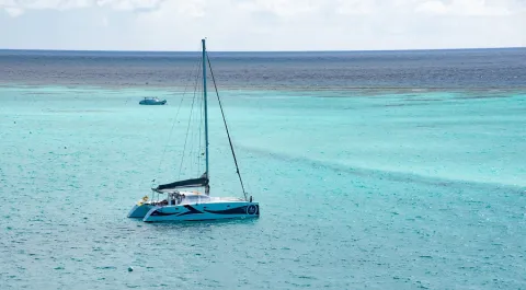 Croisière : Les Grenadines en Catamaran !