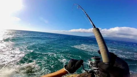 Pêche en Mer