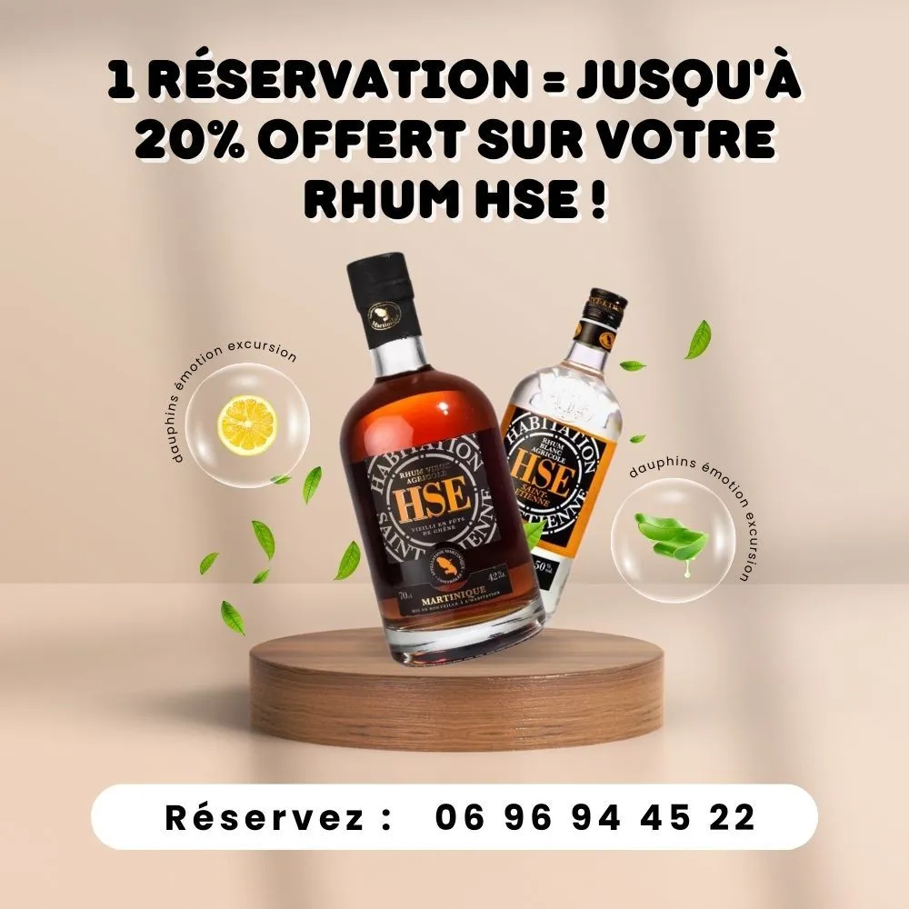 rhum hse 