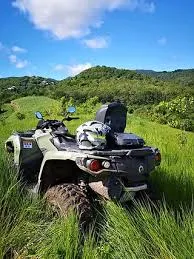 quad